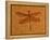 Fossil Insect, Dragonfly, Early Cretaceous, Brazil-John Cancalosi-Framed Premier Image Canvas