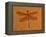 Fossil Insect, Dragonfly, Early Cretaceous, Brazil-John Cancalosi-Framed Premier Image Canvas