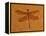 Fossil Insect, Dragonfly, Early Cretaceous, Brazil-John Cancalosi-Framed Premier Image Canvas