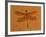 Fossil Insect, Dragonfly, Early Cretaceous, Brazil-John Cancalosi-Framed Photographic Print