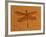 Fossil Insect, Dragonfly, Early Cretaceous, Brazil-John Cancalosi-Framed Photographic Print