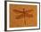 Fossil Insect, Dragonfly, Early Cretaceous, Brazil-John Cancalosi-Framed Photographic Print