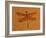 Fossil Insect, Dragonfly, Early Cretaceous, Brazil-John Cancalosi-Framed Photographic Print