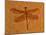 Fossil Insect, Dragonfly, Early Cretaceous, Brazil-John Cancalosi-Mounted Photographic Print