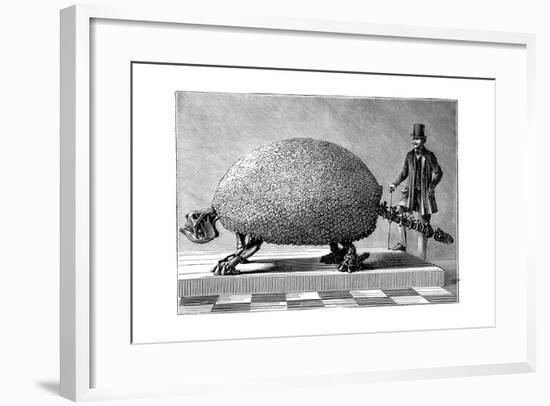 Fossil of a Giant Armadillo from South America, C1890-null-Framed Giclee Print