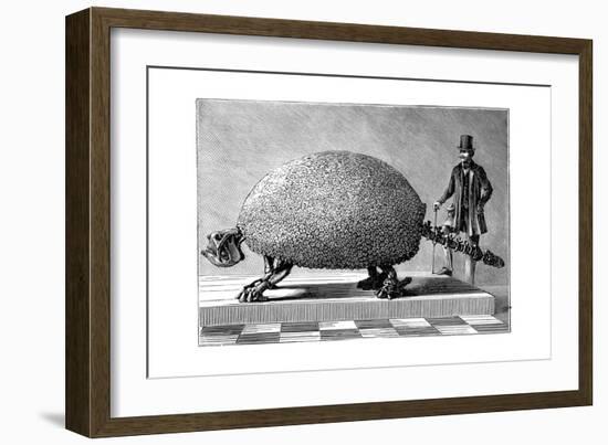 Fossil of a Giant Armadillo from South America, C1890-null-Framed Giclee Print