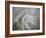 Fossil Shells I-Nicole Katano-Framed Photo