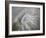 Fossil Shells I-Nicole Katano-Framed Photo