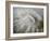 Fossil Shells II-Nicole Katano-Framed Photo