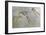 Fossil skeleton of a Pteradactyl-Unknown-Framed Giclee Print