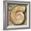 Fossil Spiral Snail Stone Real Ancient Petrified Shell over Limestone-Natureworld-Framed Photographic Print