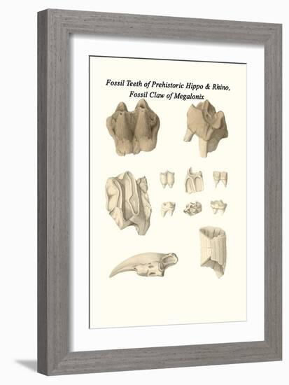 Fossil Teeth of Prehistoric Hippo and Rhino, Fossil Claw of Megalonix-James Parkinson-Framed Art Print