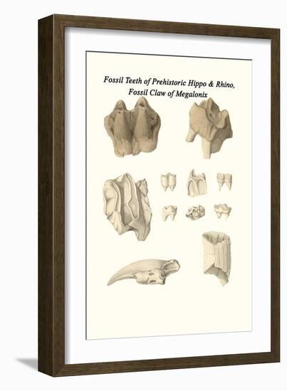 Fossil Teeth of Prehistoric Hippo and Rhino, Fossil Claw of Megalonix-James Parkinson-Framed Art Print