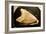 Fossil Tooth of Megalodon or Megatooth Shark Oceanopolis-null-Framed Photographic Print