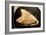 Fossil Tooth of Megalodon or Megatooth Shark Oceanopolis-null-Framed Photographic Print