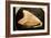 Fossil Tooth of Megalodon or Megatooth Shark Oceanopolis-null-Framed Photographic Print