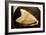 Fossil Tooth of Megalodon or Megatooth Shark Oceanopolis-null-Framed Photographic Print