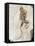 Fossilised Frog Embedded In Rock-Volker Steger-Framed Premier Image Canvas