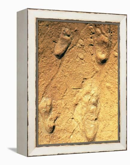 Fossilised Hominid Footprints From Laetoli-Sinclair Stammers-Framed Premier Image Canvas