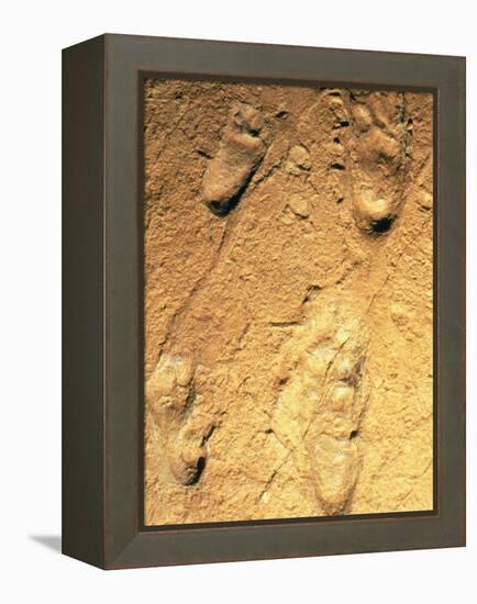 Fossilised Hominid Footprints From Laetoli-Sinclair Stammers-Framed Premier Image Canvas