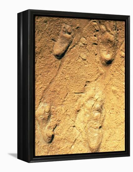 Fossilised Hominid Footprints From Laetoli-Sinclair Stammers-Framed Premier Image Canvas