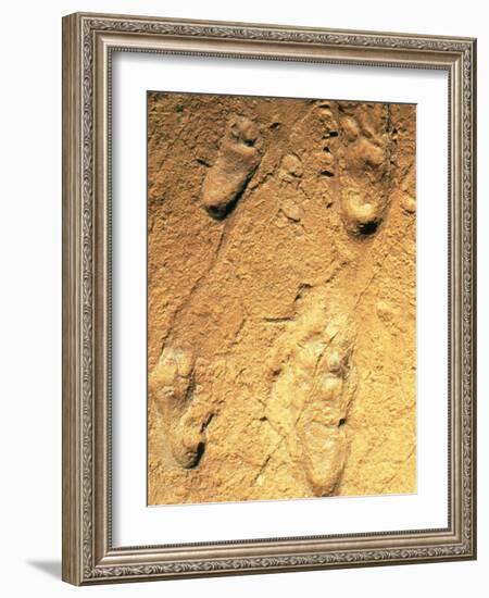 Fossilised Hominid Footprints From Laetoli-Sinclair Stammers-Framed Photographic Print