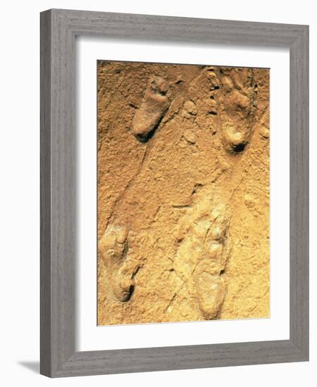 Fossilised Hominid Footprints From Laetoli-Sinclair Stammers-Framed Photographic Print