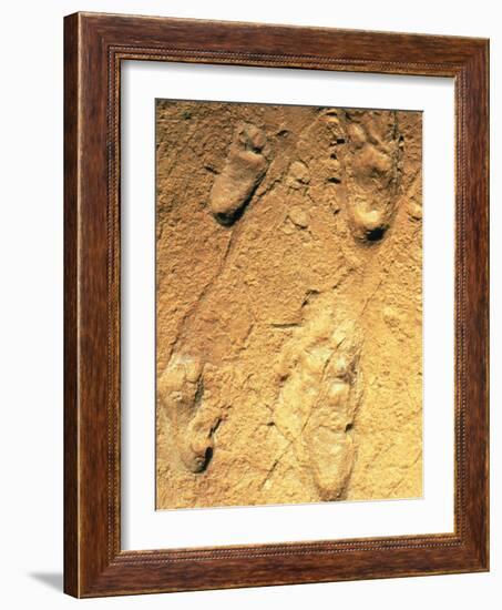 Fossilised Hominid Footprints From Laetoli-Sinclair Stammers-Framed Photographic Print