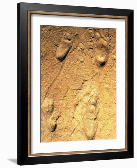 Fossilised Hominid Footprints From Laetoli-Sinclair Stammers-Framed Photographic Print