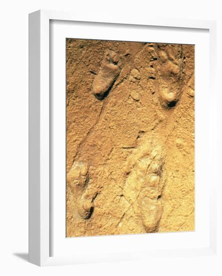 Fossilised Hominid Footprints From Laetoli-Sinclair Stammers-Framed Photographic Print