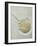 Fossilised Horseshoe Crab-Volker Steger-Framed Photographic Print