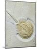 Fossilised Horseshoe Crab-Volker Steger-Mounted Photographic Print