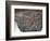 Fossilized Starfish-Layne Kennedy-Framed Photographic Print