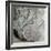 Fossils in Jurassic rocks-Unknown-Framed Giclee Print