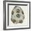 Fossils, Plants, Sphenophyllum Cuneifolium-null-Framed Giclee Print