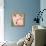 Foto Bubble Gum-Mark Ashkenazi-Framed Premier Image Canvas displayed on a wall