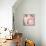 Foto Bubble Gum-Mark Ashkenazi-Framed Premier Image Canvas displayed on a wall