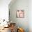 Foto Bubble Gum-Mark Ashkenazi-Framed Premier Image Canvas displayed on a wall