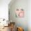Foto Bubble Gum-Mark Ashkenazi-Giclee Print displayed on a wall