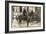 Foto Graf Otto Eduard Leopold Von Bismarck Schönhausen, Liersch 7284, Pferd-null-Framed Giclee Print