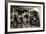 Foto Hapag, Dampfer New York, Rauchsalon, 1 Klasse-null-Framed Giclee Print