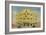 'Foto Volasco Building, Barranquilla', c1940s-Unknown-Framed Giclee Print