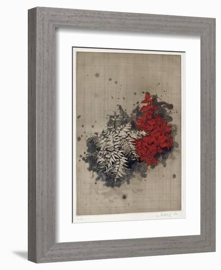 Fougères-Yannick Ballif-Framed Collectable Print