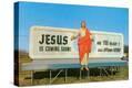 Stretched Canvas Print