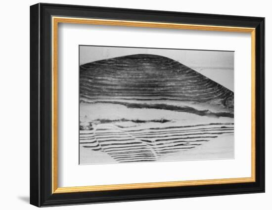 Found Textures III-Jason Johnson-Framed Photographic Print