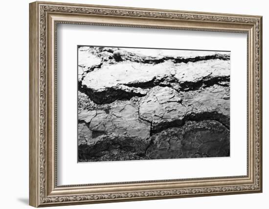 Found Textures IV-Jason Johnson-Framed Photographic Print