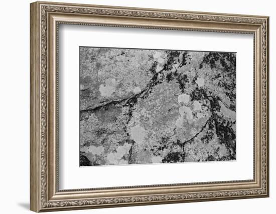 Found Textures XII-Jason Johnson-Framed Photographic Print