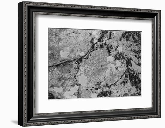 Found Textures XII-Jason Johnson-Framed Photographic Print