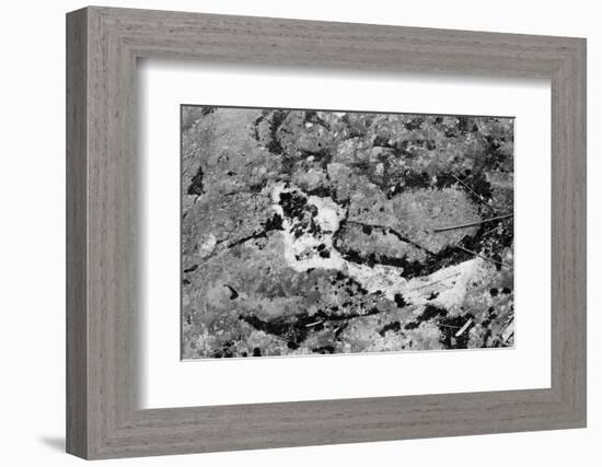 Found Textures XIV-Jason Johnson-Framed Photographic Print