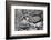 Found Textures XIV-Jason Johnson-Framed Photographic Print